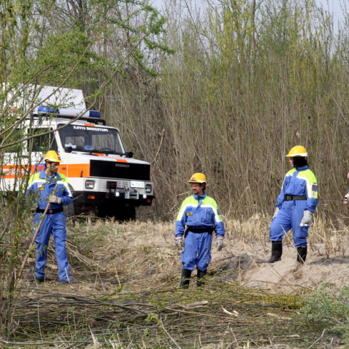 intervento Fiume Meduna Ponte Strada Statale 13 n. 31 / 78455