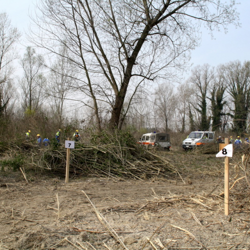 intervento Fiume Meduna Ponte Strada Statale 13 n. 35 / 78459