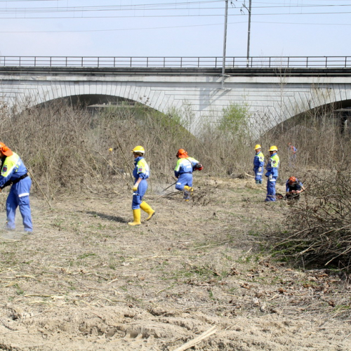 intervento Fiume Meduna Ponte Strada Statale 13 n. 38 / 78462
