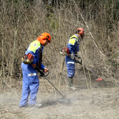 intervento Fiume Meduna Ponte Strada Statale 13 n. 39 / 78463
