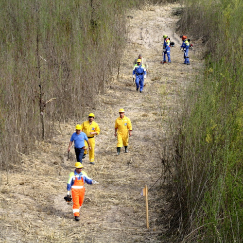 intervento Fiume Meduna Ponte Strada Statale 13 n. 44 / 78468