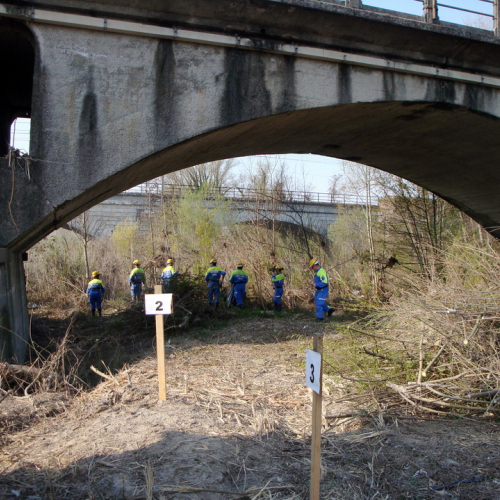 intervento Fiume Meduna Ponte Strada Statale 13 n. 51 / 78475