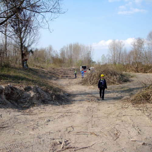 intervento Fiume Meduna Ponte Strada Statale 13 n. 53 / 78477