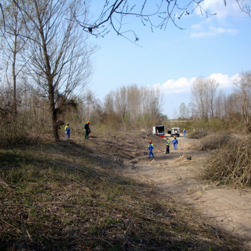 intervento Fiume Meduna Ponte Strada Statale 13 n. 54 / 78478