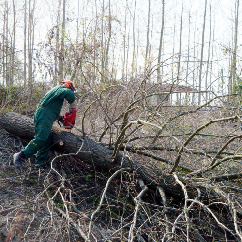 intervento Fiume Meduna Ponte Strada Statale 13 n. 59 / 78483