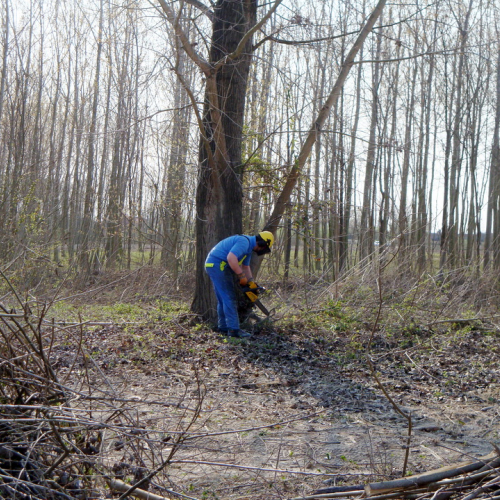 intervento Fiume Meduna Ponte Strada Statale 13 n. 60 / 78484