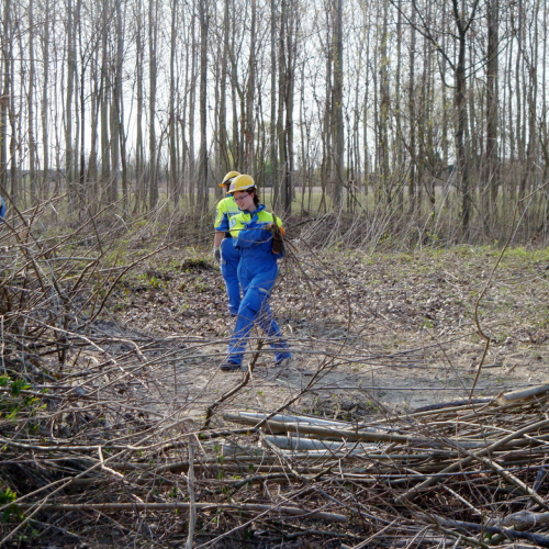 intervento Fiume Meduna Ponte Strada Statale 13 n. 61 / 78485