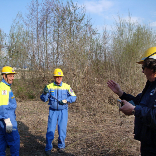 intervento Fiume Meduna Ponte Strada Statale 13 n. 62 / 78486