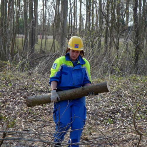 intervento Fiume Meduna Ponte Strada Statale 13 n. 63 / 78487