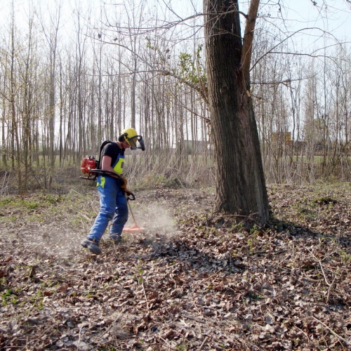 intervento Fiume Meduna Ponte Strada Statale 13 n. 64 / 78488