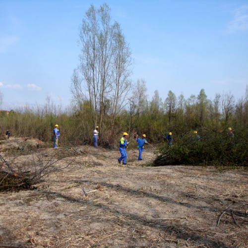intervento Fiume Meduna Ponte Strada Statale 13 n. 68 / 78492