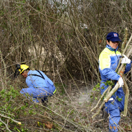 intervento Fiume Meduna Ponte Strada Statale 13 n. 69 / 78493