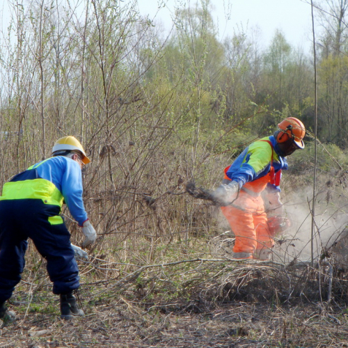 intervento Fiume Meduna Ponte Strada Statale 13 n. 71 / 78495