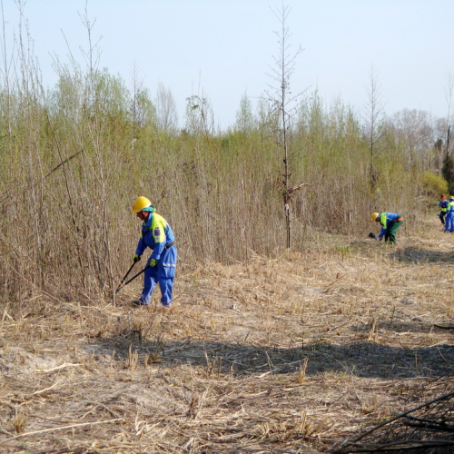 intervento Fiume Meduna Ponte Strada Statale 13 n. 72 / 78496