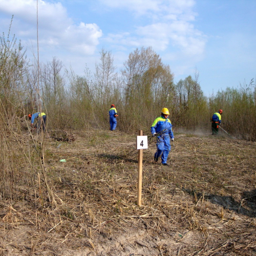 intervento Fiume Meduna Ponte Strada Statale 13 n. 75 / 78499