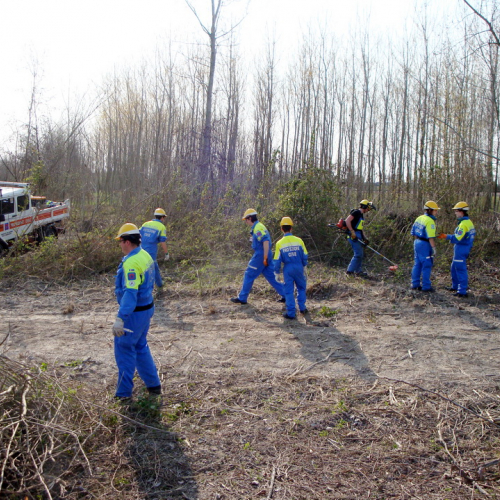 intervento Fiume Meduna Ponte Strada Statale 13 n. 76 / 78500