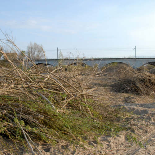 intervento Fiume Meduna Ponte Strada Statale 13 n. 78 / 78502