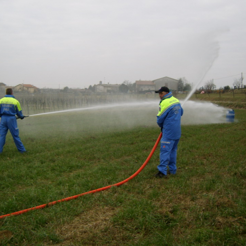 Esercitazione 30/01/2011 n. 25 / 60567