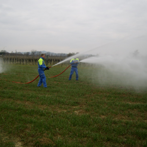 Esercitazione 30/01/2011 n. 37 / 60579