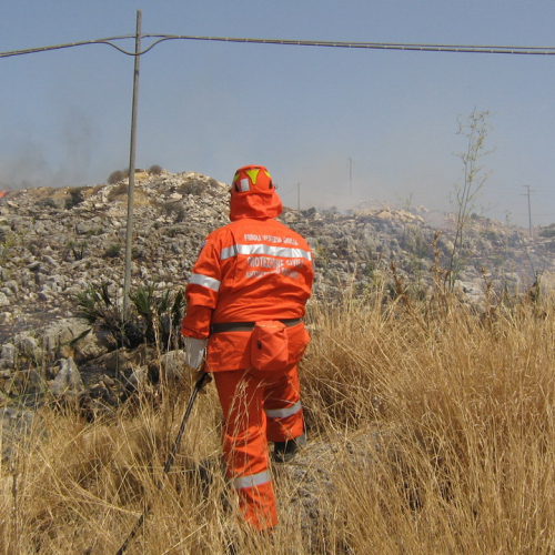 foto 11-31/08 n. 7 / 16315