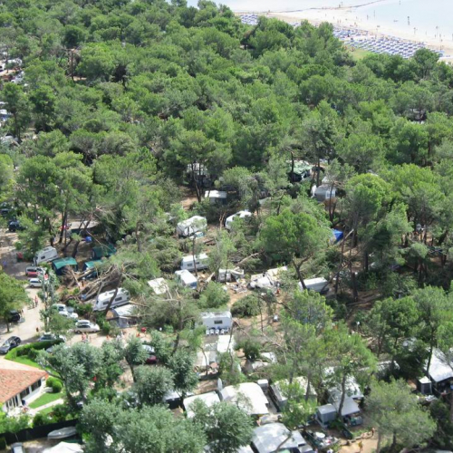 Grado 9.08.2008 91 / 28455