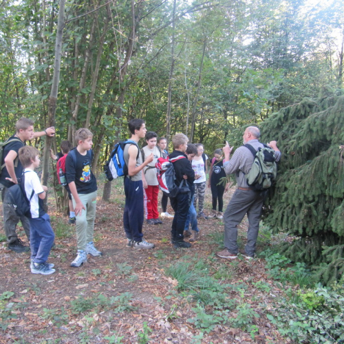 Campo scuola Tribil n. 32 / 99222