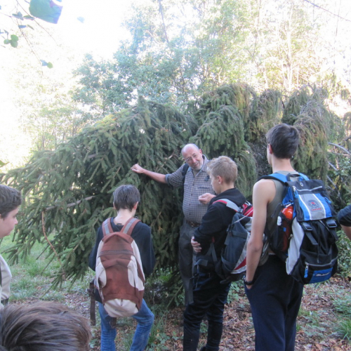 Campo scuola Tribil n. 33 / 99223