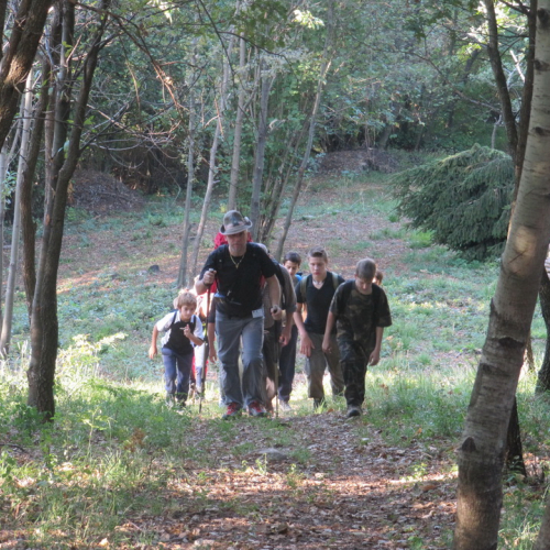 Campo scuola Tribil n. 34 / 99224