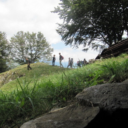 Campo scuola Tribil n. 43 / 99233