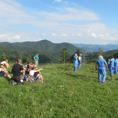 Campo scuola Tribil n. 45 / 99235