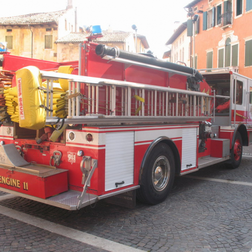 Sagra dei Osei 2009 n. 1 / 44869