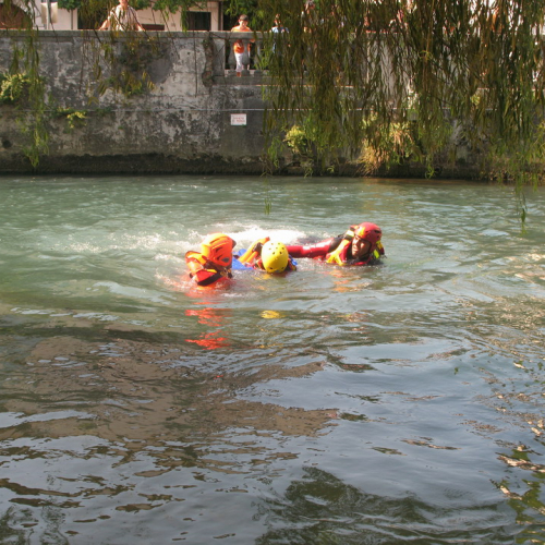 Sagra dei Osei 2009 n. 12 / 44880