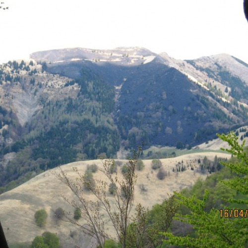 Incendio boschivo in zona Navantes n. 16 / 64194