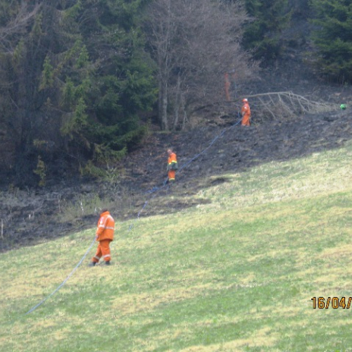 Incendio boschivo in zona Navantes n. 17 / 64195