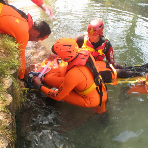 Sagra dei Osei 2009 n. 13 / 44881