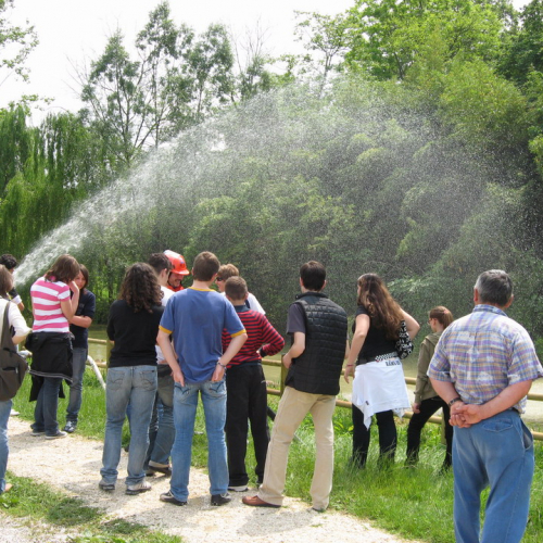 foto 24/05 n. 18 / 24673