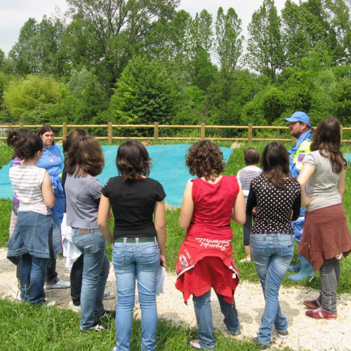 foto 24/05 n. 19 / 24674