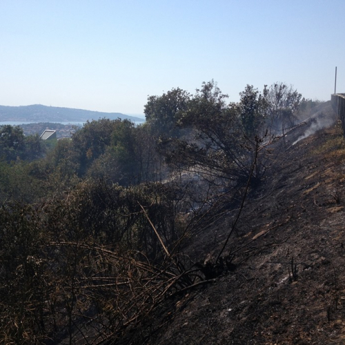 Intervento AIB del 05/08 n. 2 / 98149