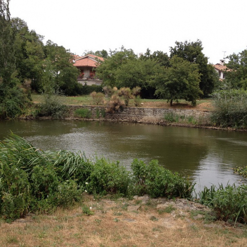 Operazioni rilascio acqua stagno Contovello n. 1 / 98536
