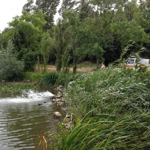 Operazioni rilascio acqua stagno Contovello n. 5 / 98540