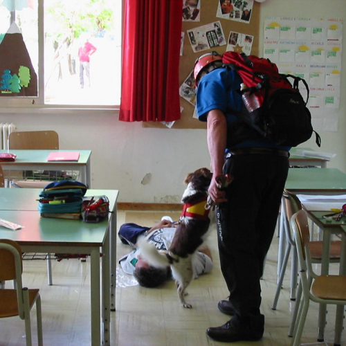 Prova evacuazione scuole n. 3 / 51021