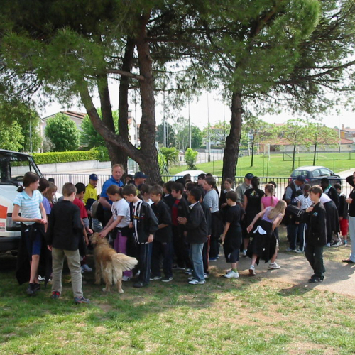 Prova evacuazione scuole n. 8 / 51026