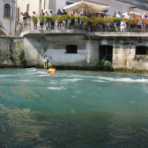 Attivit‡ di supporto Sagra dei Osei" n. 18""ttivit‡ di supporto """" / 69820