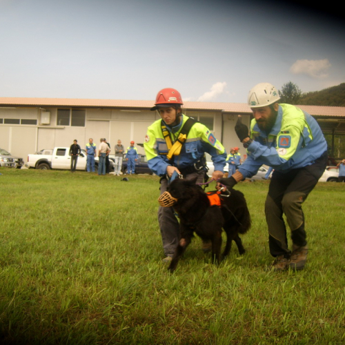 Corso elicooperazione per unit‡ cinofile del 22/09/12 n. 43 / 86188