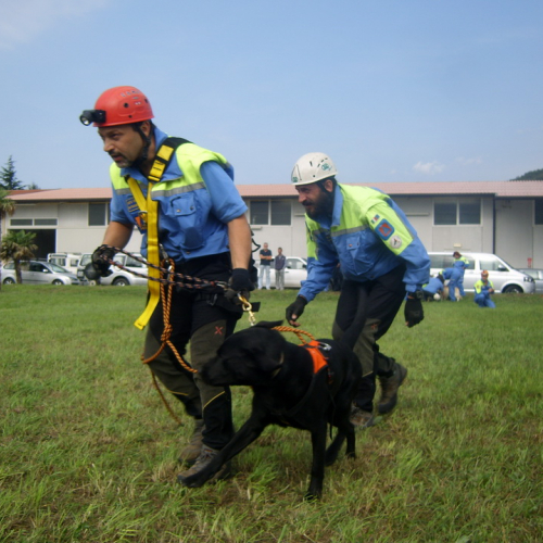 Corso elicooperazione per unit‡ cinofile del 22/09/12 n. 50 / 86195