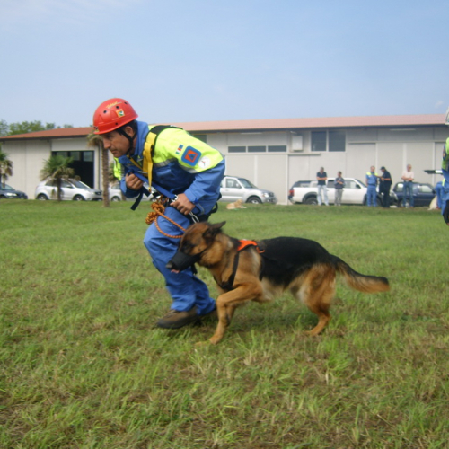 Corso elicooperazione per unit‡ cinofile del 22/09/12 n. 51 / 86196