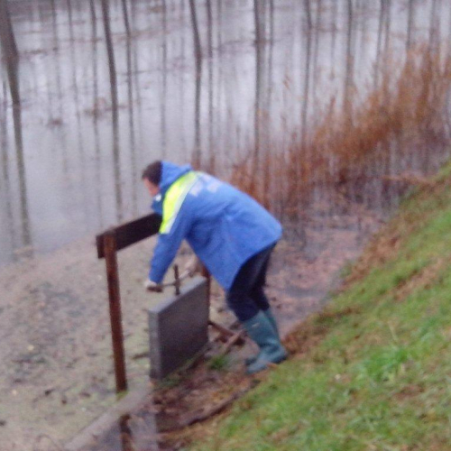 Interventi volontari n. 5 / 103772