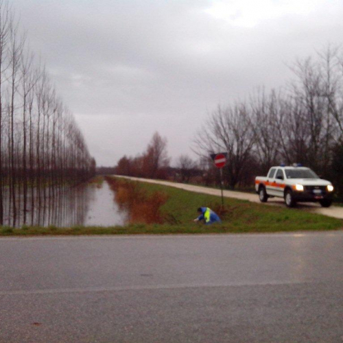 Interventi volontari n. 6 / 103773