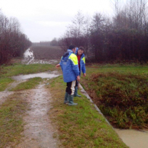 Interventi volontari n. 8 / 103775