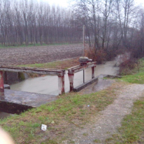 Interventi volontari n. 9 / 103776